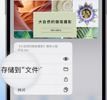 东坡apple维修中心分享iPhone文件应用中存储和找到下载文件