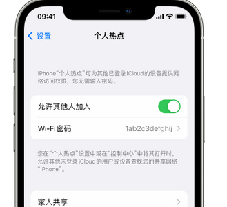 东坡apple服务站点分享iPhone上个人热点丢失了怎么办 