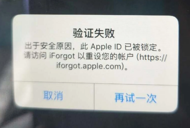 东坡iPhone维修分享iPhone上正常登录或使用AppleID怎么办 