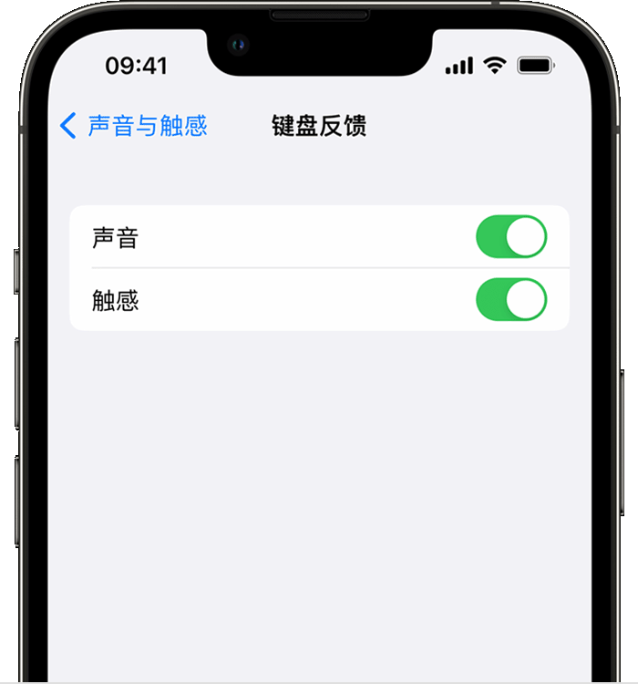 东坡苹果14维修店分享如何在 iPhone 14 机型中使用触感键盘 