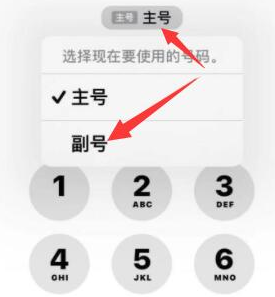 东坡苹果14维修店分享iPhone 14 Pro Max使用副卡打电话的方法 