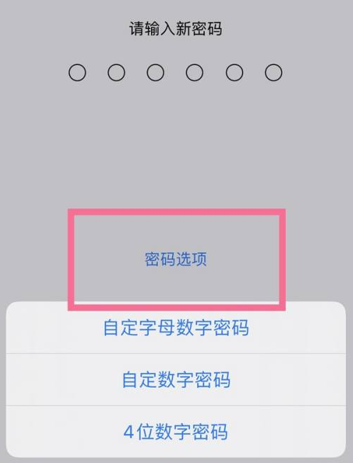 东坡苹果14维修分享iPhone 14plus设置密码的方法 