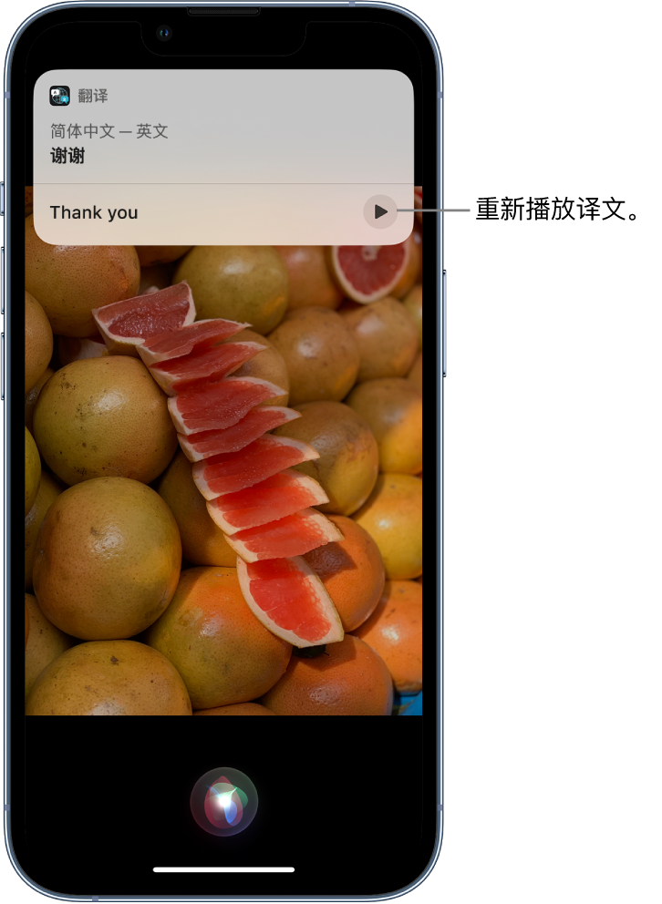 东坡苹果14维修分享 iPhone 14 机型中使用 Siri：了解 Siri 能帮你做什么 