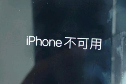 东坡苹果服务网点分享锁屏界面显示“iPhone 不可用”如何解决 