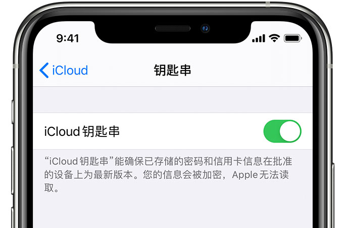 东坡苹果手机维修分享在 iPhone 上开启 iCloud 钥匙串之后会储存哪些信息 