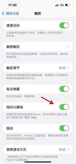 东坡苹果手机维修分享iPhone手机如何设置摇一摇删除文字 